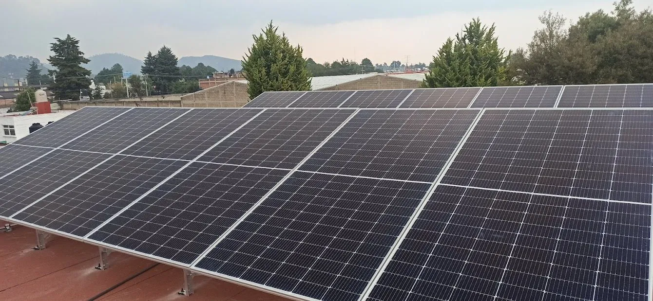 Arreglo de paneles solares instalado por Mexsol en una azotea con árboles alrededor